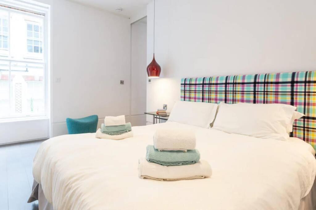 Superb Apartment Near Buckingham Palace Londres Extérieur photo